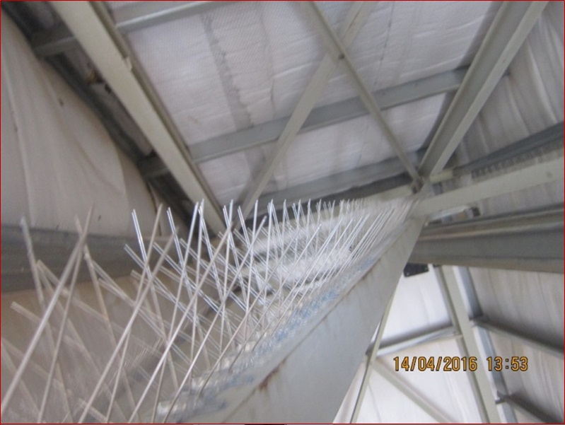 pic of the project